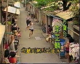 二十一条剧情介绍