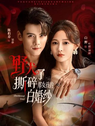 姜大卫版九阴真经插曲