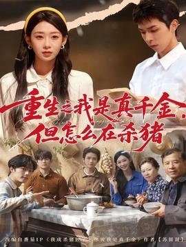 阿信电视剧国语版217集