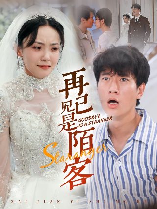 贼王之王粤语版免费观看全集下载百度云资源