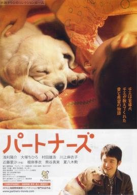 铁梨花在线观看全集电视剧