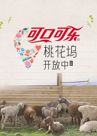 越战1975讲述了什么?