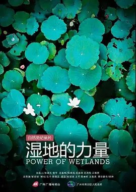 对话的维度电影完整版