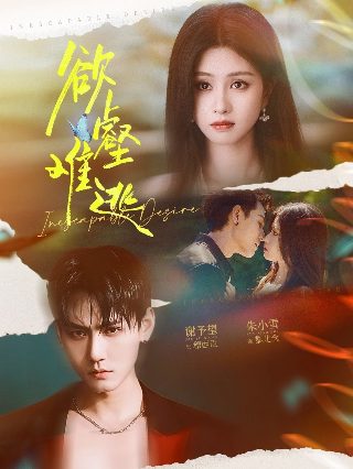 仇恋演员