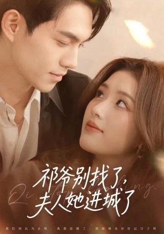 电视剧鸽子哨在线观看