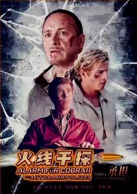 前妻攻略动画片