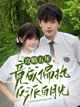 云中落绣鞋 电影
