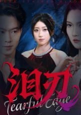 明星老婆的贴身保镖24集视频