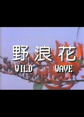 圣徒免费观看完整版高清中文