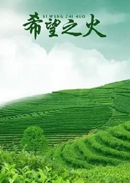 亲爱的孩子们第23集免费观看下载