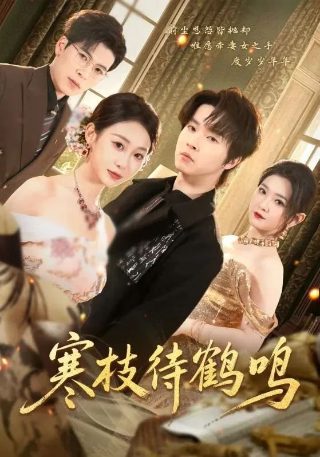 美国纪录片《秘密》免费观看全集高清版