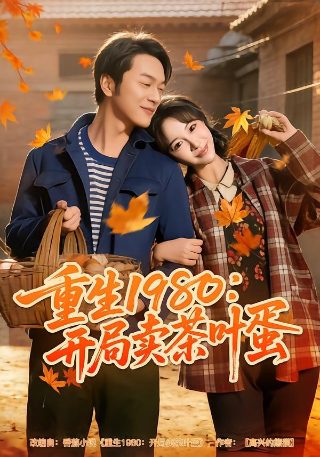 我是岁月你是星辰百度网盘下载