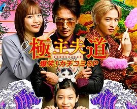 《家宴》演员表大全介绍视频讲解下载安装