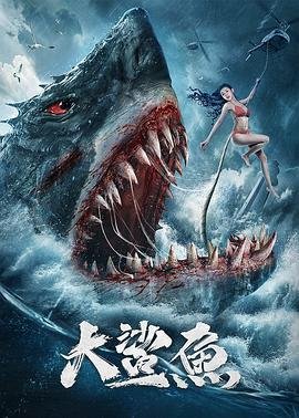 《雪域迷城》电视剧免费播放全集