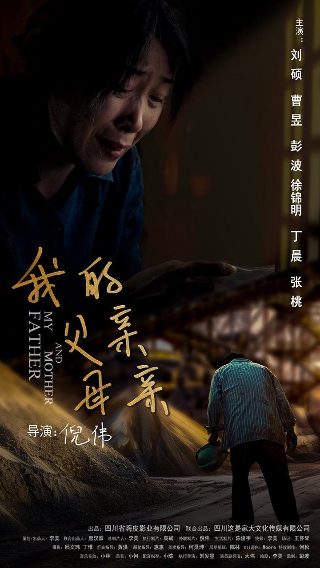 对霍桑红字的评价
