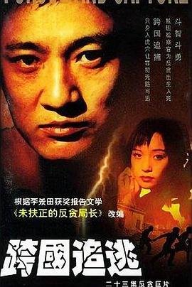 《兰陵王妃》简介剧情概括50字左右怎么写的