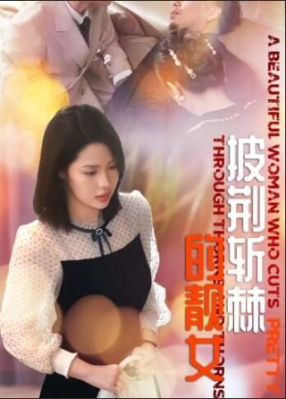 神奇宝贝日月免费观看