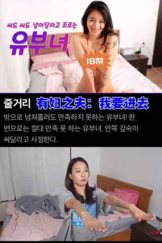 寻秦记 电视剧简介