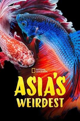 宠爱电影在线观看免费完整版国语