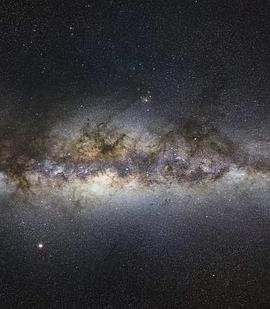 红星照耀中国 答案