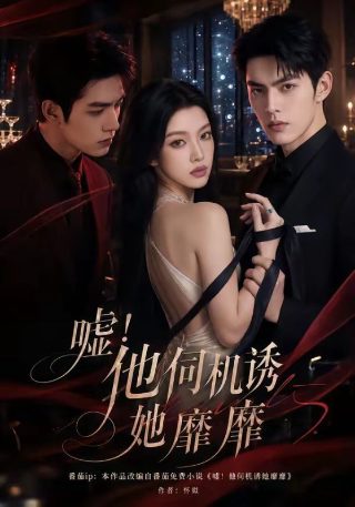 野花视频在线观看免费高清版