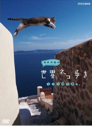 多罗罗第六章攻略