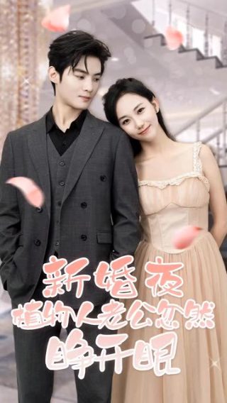 我的爷爷电视剧剧情介绍大结局是什么