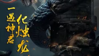 人文艺术视频是什么意思