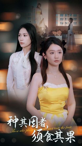 长风踏歌第二季电视剧免费观看下载全集