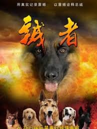 犯罪心理第四季13有没有后续
