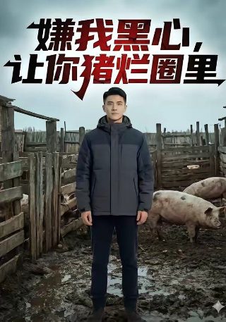 熊出没环球大冒险目录