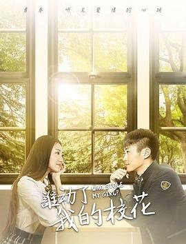 傻王闯天下电视剧免费观看国语版