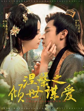野鸭子1大结局片段