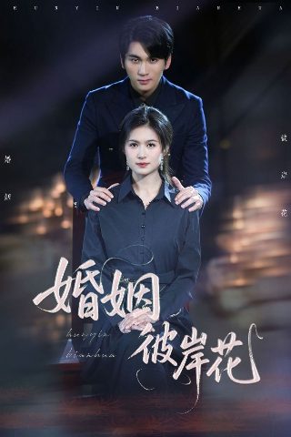 落难王妃第二季免费观看西瓜
