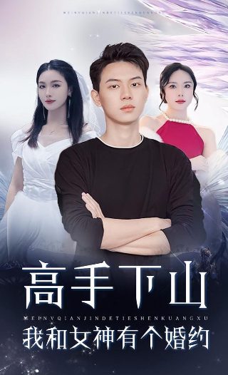 镇国驸马爷宁安公主结局