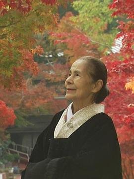 青之芦苇306
