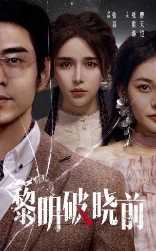 电影《突击队》演员表介绍大全视频在线观看下载