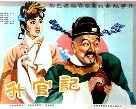 《仲夏满天心》电视剧免费观看高清版全集