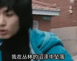 《水浒传》作者的介绍100字