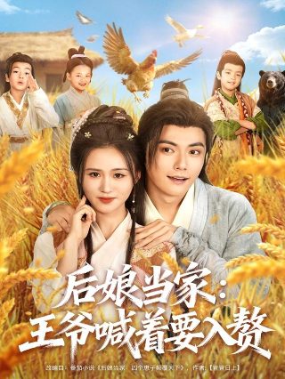 电影《功夫联盟》影评分析