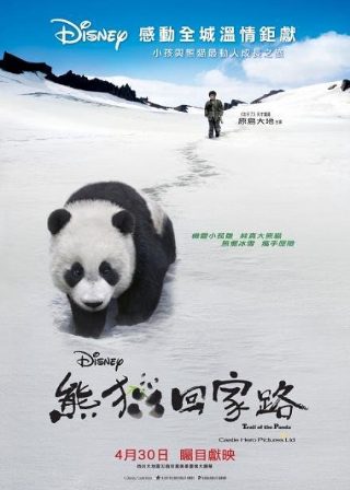 日版午夜凶铃豆瓣