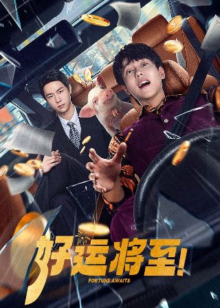 神犬小七免费观看完整版第二季