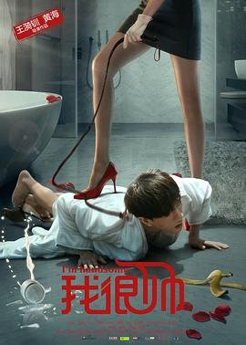 新相亲大会第二季全集完整版在线观看