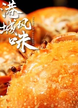 白夜暗影播出时间多久