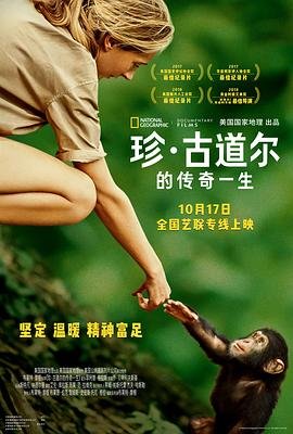 《无所畏惧》大结局视频播放下载安装