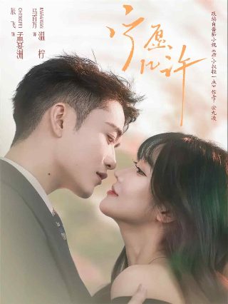 百万新娘之爱无悔全集下载百度云资源链接