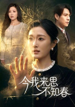 欢乐颂插曲中文版歌词图片大全