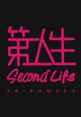 温柔的谎言剧情简介大结局解析