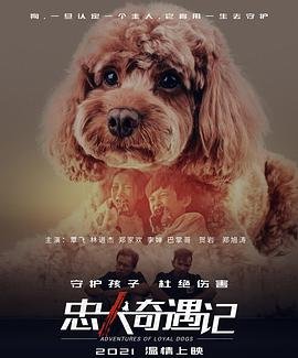 短剧《天命》剧情介绍大结局是什么意思啊