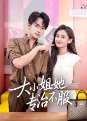 海贼王第95集完整版